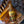 Maple Apple Butter BBQ Sauce - Cluck & Squeal Seasonings and BBQ Rubs.